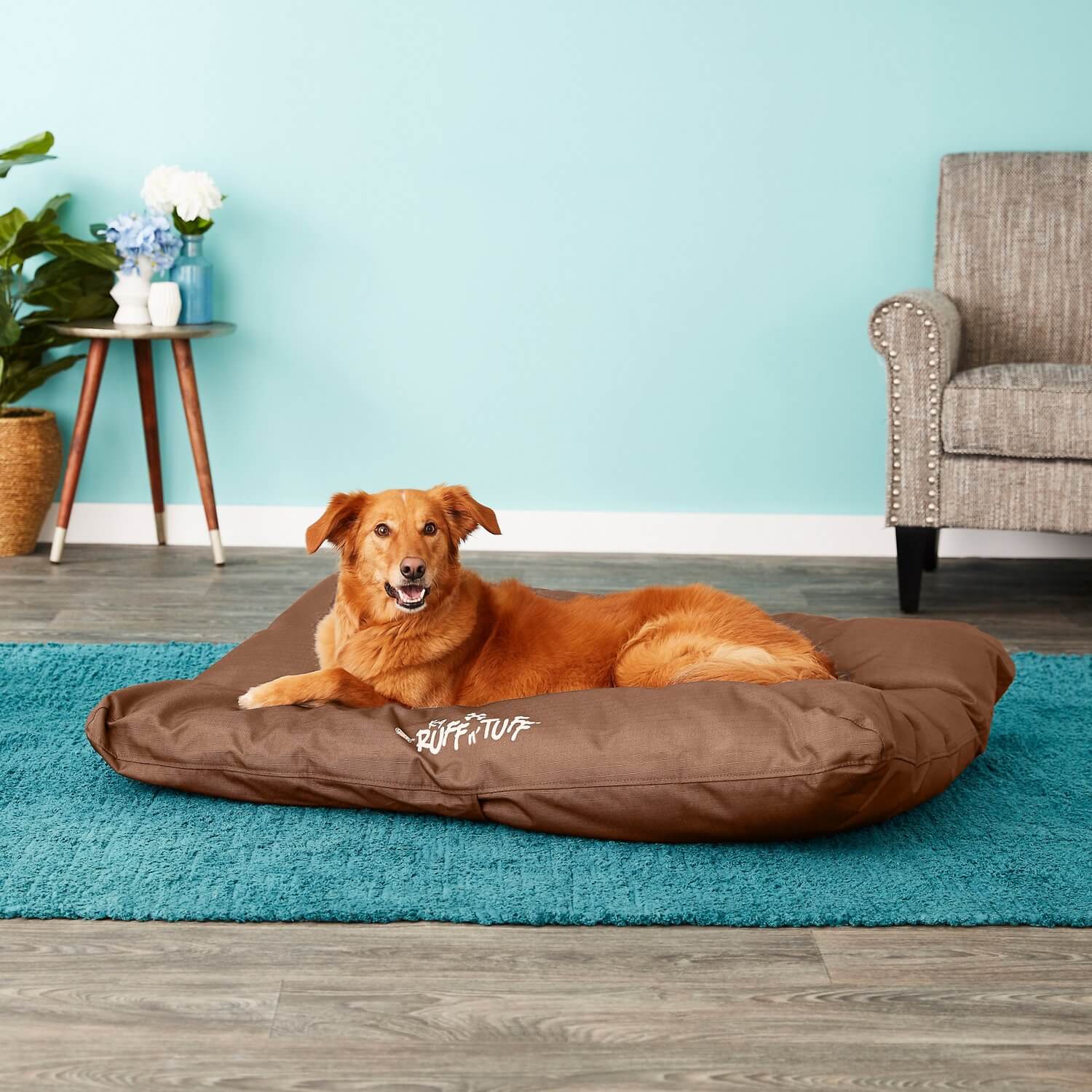 Best Indestructible Dog Beds For Heavy Chewers in 2021